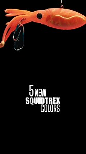 14K views · 188 reactions | Strap in - New Squidtrex colors are here  #squidtrex #nomaddesigntackle #craftedbyexperience #squidtrexdrop #vibes | Nomad Design Tackle | Facebook