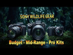 Complete Sony Wildlife Photography Guide: Budget to Pro
