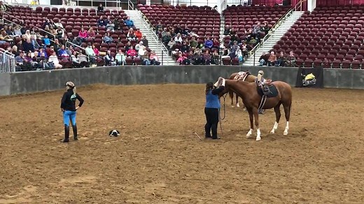 The friendly game is not about waving your stick and string around, it’s about touching your horse with your heart, and having them feel relaxed. | Parelli Natural Horsemanship