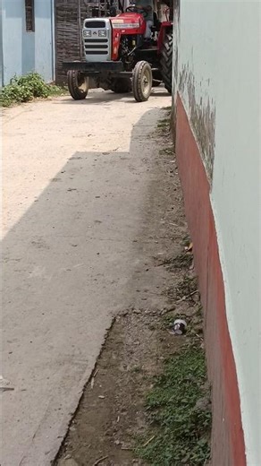 Massey Ferguson 7250 tractor full power big machine #trending #nishudeshwalshorts #tractorloveranas