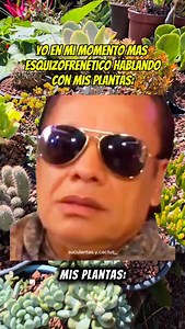 Mis plantas dándome ánimo 💚🌵🪴🌱🍃🌿 #humor #jardin #plantas #memes #suculentas #cactus #juangabriel #plantas #plantlover #plantlife #plantbased #jardineria #plantlover #plantlife | Suculentas.y.catus_