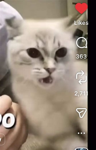 Embracing the Over 50 Journey: Bangs and Beyond