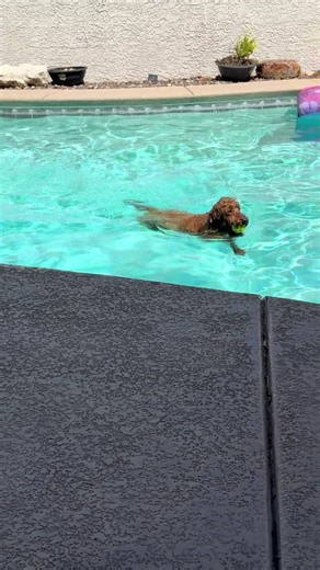 Las Vegas Pool Day: Relaxing Time Off in the Heat