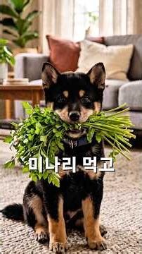 미나리먹고 미쳤니 AI 영상 만들기 챗지피티 제미나이 프롬프트 제작 방법 #미나리먹고미쳤니 #ai영상