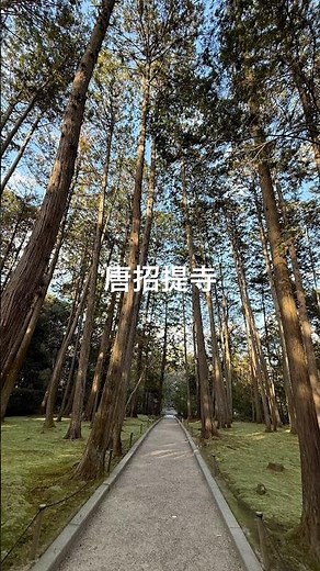 唐招提寺 #バスガイド #唐招提寺 #奈良 #歴史