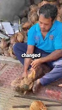 "Your contribution is… replaceable, sweetheart," the new VP sneered as he fired me...