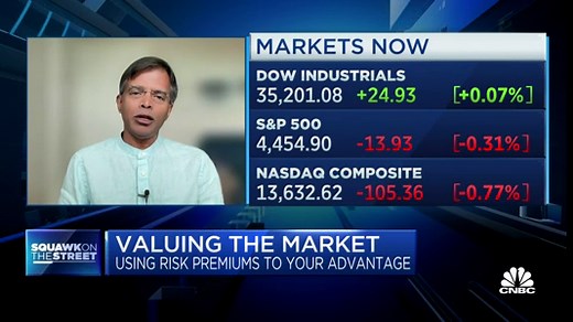 Equity risk premium is core to understanding long-term market returns, says NYU's Aswath Damodaran