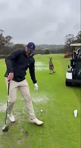 Mud, Kangaroo, and One Terrible Golf Moment 😂🦘 #golfing #funny #viral