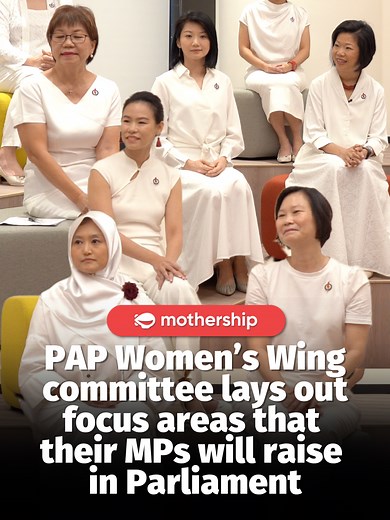 The PAP Women's Wing highlighted four advocacy areas: careers and leadership, health and well-being, seasons of life, and respect and safety. #sgtiktok #sgfyp #singapore