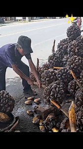 Most Unique Fruit | Fruit Mama