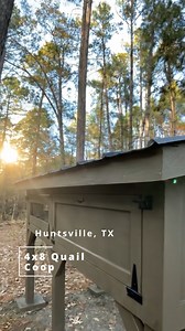 Newly installed Custom 4’ x 8’ Carolina Coops® Quail Coop in Huntsville, TX Built with multiple features to ensure a happy and healthy covey. * Multi-Layered Security Flooring ✅ * Proper Nesting Area ✅ * Run Space ✅ * Enclosed area to incorporate water and drinking systems ✅ Thinking about your own custom Quail Coop install? DM us your city flock size and we’ll point you in the right direction! • • • #quails #QuailCare #carolinacoops #CustomCoops #homestead | Carolina Coops
