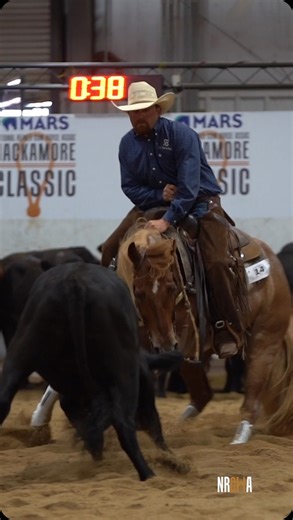 3.6K views · 336 reactions | Lanham Brown and Hesa Twisted Rode their way to the top to win the World’s Greatest Non Pro #nrcha #cowhorse | National Reined Cow Horse Association | Facebook