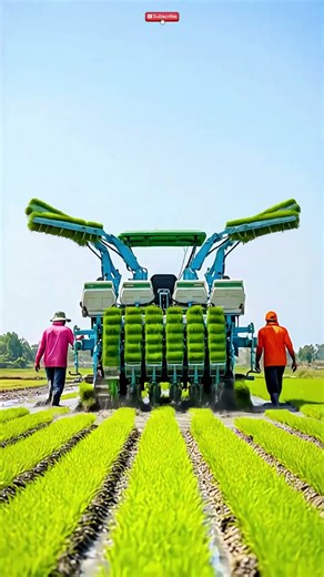 Inside the mechanism of perfect #agrimachine #paddytech #farminggear #shorts #trending #tech
