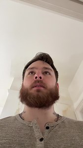 33K views · 1.6K reactions | Being Janet Devlin room mate comes with many perks, which includes her being an emotional support human to a wee fella like me | Conzo | Facebook