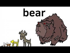 animal size comparison