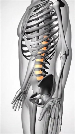 Bone Density Explained | How Strong Bones Keep You Healthy #facts #anatomy #science #neuroscience