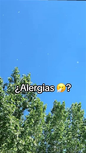 Probióticos NUP!® | Tu sistema inmune depende de las bacterias que viven en tu intestino. NUP!Defense está creado especialmente para fortalecer tus defensas... | Instagram