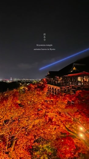 Katsuo0525 on Instagram: "清水寺 京都🌙紅葉ライトアップの様子を撮影しました（2025年12月2日撮影） 20時頃に訪れ昨年に比べてだいぶ観光客が少なかったのですぐに最前列で撮影ができました😊🍁 今回Insta360Acepro2のPure videoモード（夜などの低照度下で鮮明に撮れるモード）で撮影しました📸 全体的に明るく鮮やか過ぎる映像になってしまっていますが、実際は葉の色も見た目よりも少し暗めの印象です🧐 紅葉も少し葉が散り始めていますので行かれる方はお早めに！🍁🍁🍁（12/7までライトアップ&特別拝観） 🔸#清水寺 🔹#kiyomizutemple Kiyomizu-dera Temple, Kyoto 🌙 Photographed during the autumn foliage illumination (December 2, 2025) I visited around 8 PM, and there were significantly fewer tourists than last year, so I was