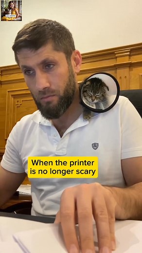 20K views · 699 reactions | When the printer is no longer scary  | cats addicted | Facebook