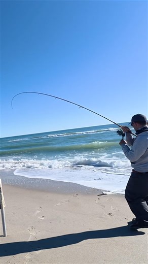 Fishing the beach with the live sand fleas. Things are steady! #fishing