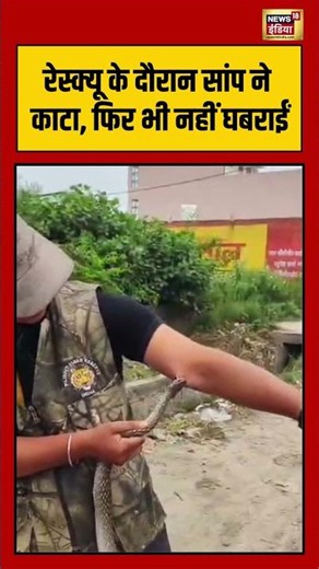 Bitten by a snake | रेस्क्यू के दौरान सांप ने काटा, फिर भी नहीं घबराईं | #viralvideo #shorts