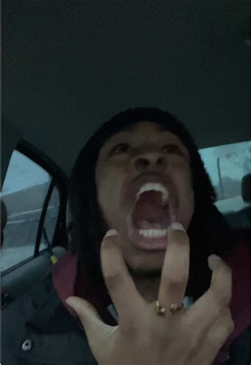 The cycle continues. Which scream spoke to you? #fypシ #pov #relatablememes #kevinskevinskevin