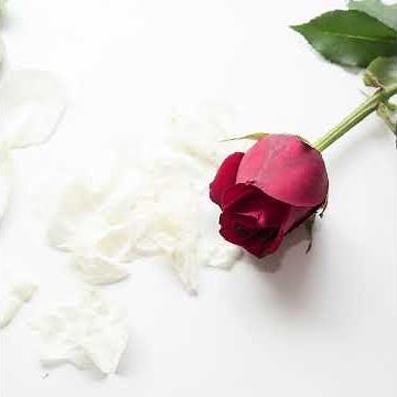 ABC – All of My Heart