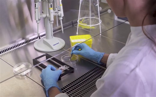 【实验方法】 使用Ibidi µ-Slide Chemotaxis做趋化实验