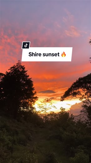 Sunsets at the Shire hit different 🤩 #costarica #sunsetvibes