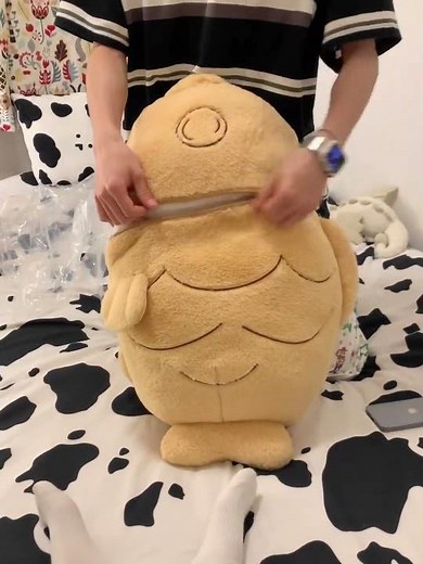 Unboxing the Ultimate Fish-Cat Plush Toy: A Unique 2-in-1 Cuddly Friend