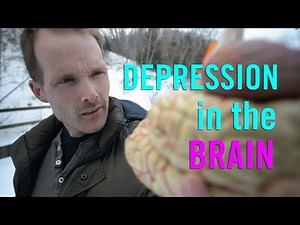 Depression in the Brain: the Biology of Depression