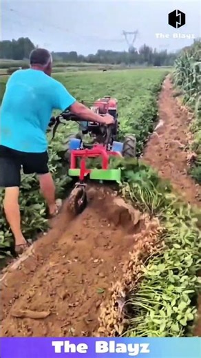 How Farmers Harvest Crops Fast Using Tractors | Amazing Modern Farming Technique?!