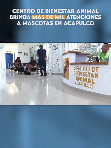 Centro de Bienestar Animal en Acapulco ofrece mil atenciones