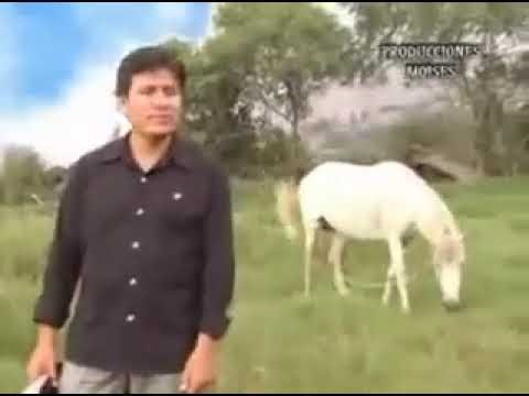 M'Kaddesh - Nunca Me Dejaste (Official)