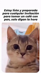 Estoy lista y preparada para cualquier invitación para tomar un café con pan, solo digan la hora #cafeconpan #cafe #coffee | Moliendo_cafe