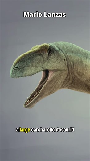 Dino Guy on Instagram: "Tyrannotitan! #dinosaur #dino #prehistory #paleontology #fossil"