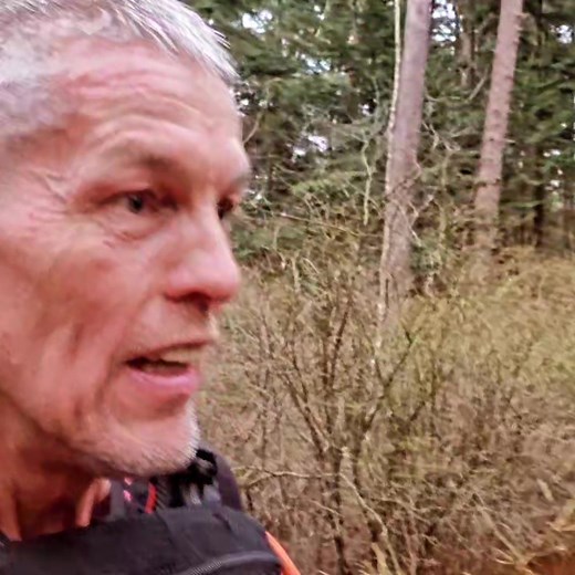 2.5K views · 5 comments | RUN Forest RUN on Reels | Facebook