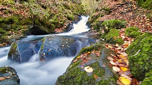 Water, Waterfall, Stream. Free Stock Video