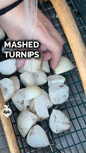 Epic Homesteading on Instagram: "I love growing turnips, but don’t like eating them - until now. When I traveled through New Zealand, I had a dish of mashed turnips, carrots, and parsnips with a HEALTHY dose of butter, salt, and pepper. This turnip mash recipe is reminiscent of that and is surprisingly delicious: 7-8 large turnips 2 tbsp butter 1 cup milk Salt & pepper to taste Quarter, peel, and wash the turnips, then boil for 35-45 minutes to soften. Toss in a blender with the butter and milk,