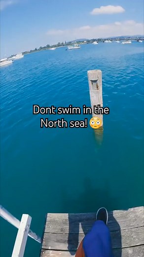 498K views · 561 reactions | #deepsea #northsea #ocean #explore #adventure #ship #bigwaves #omg #atlantic #wolffish #sealife #seamonster #bite #bigbite #monstersea #atlanticcity #dasarlaut #lautandalam #kedalamanlaut #monsterlaut #lautdalam #shark #killershark #bigfish #shootingfish #shooting fish #fishing #foryou #fishinglife #fishingmonster #fish #monster | North sea | Facebook