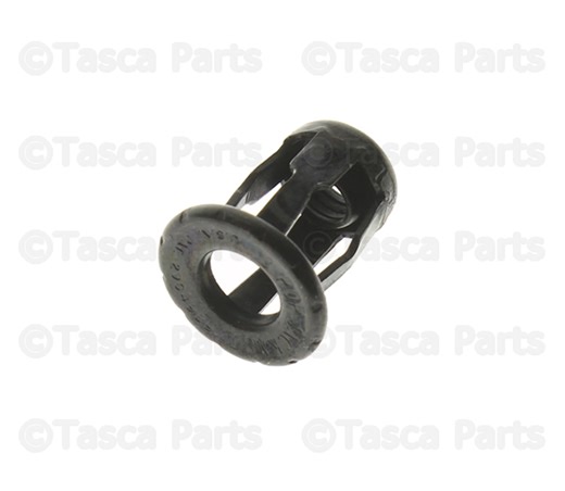 License Plate Bracket Nut