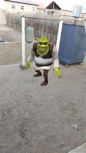 shrek angry 😡👊#shrek #mura