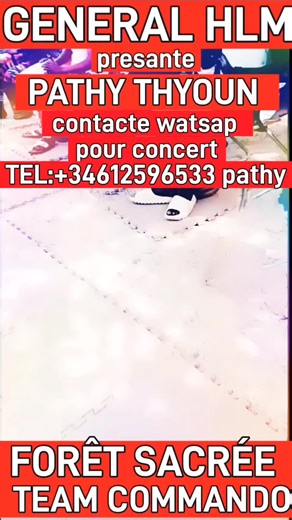 Vibes from Paris to Senegal: A Musical Journey