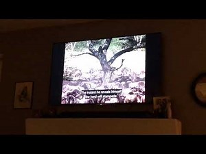 The African Lion (1955) Wildebeest Stampede