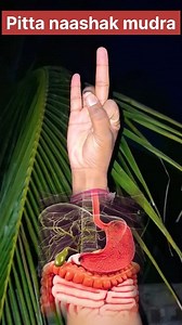 1.8M views · 10K reactions | Pitta Nashak Mudra ✅️ Sourav Yoga...