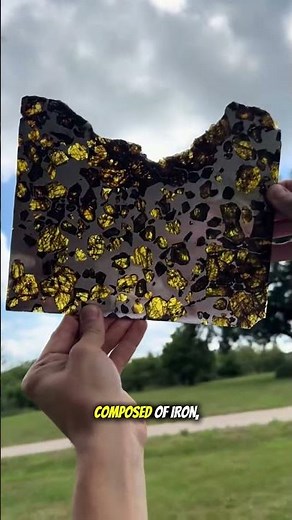 Pallasite meteorite