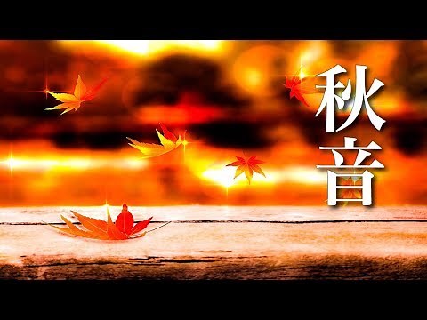 Feel Autumn, Healing Music【BGM for Working / Sleeping】