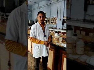 Preparation of soap glycerine suppositories