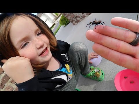 BUG CATCHiNG with NiKO 🕷 Finding Spiders and Worms Outside! Making a new home for our bugs with Dad