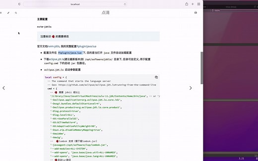 NVIM 打造 Java IDE 【004】- 配置讲解